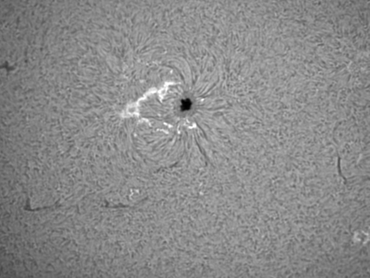 Sonne 19.05.16 H-Alpha